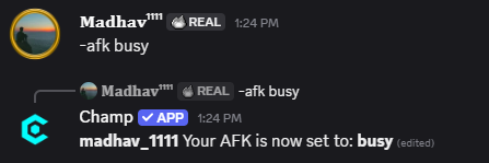 AFK Command Preview