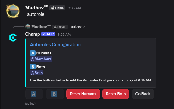 Autorole Command Preview