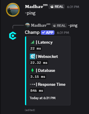 Ping Command Preview