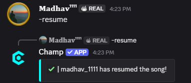 Resume Command Preview
