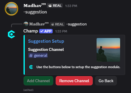 Suggestion Command Preview