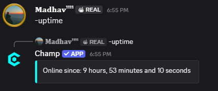 Uptime Command Preview