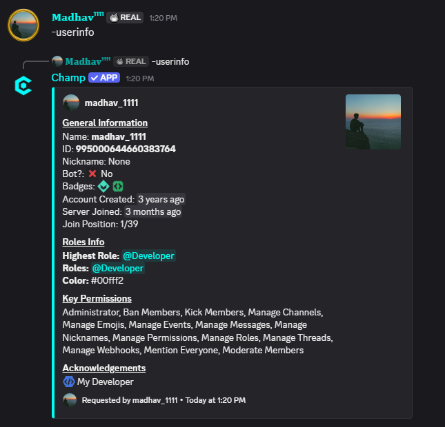 Userinfo Command Preview